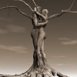 ���� Halim, ����, 53 ���� - ��������� 13 ������ 2016