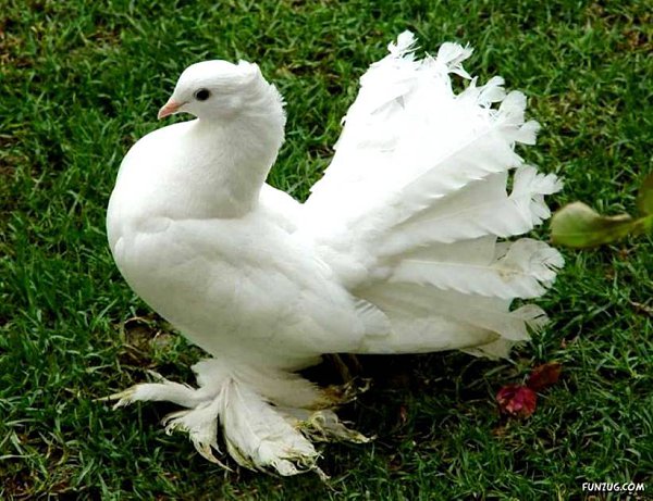   ...       ...      ... - 3