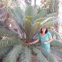 ���� �����, ���������, 54 ���� - ��������� 25 ���� 2016