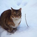 ���� �������, �����-���������, 55 ��� - ��������� 3 ������� 2016 � ������ ��������