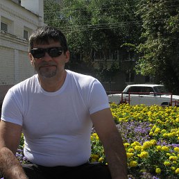 ������, ������, 65 ���