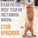 ���� Alekcandr, ������ - ��������� 20 ��� 2016 � ������ ���� ����������