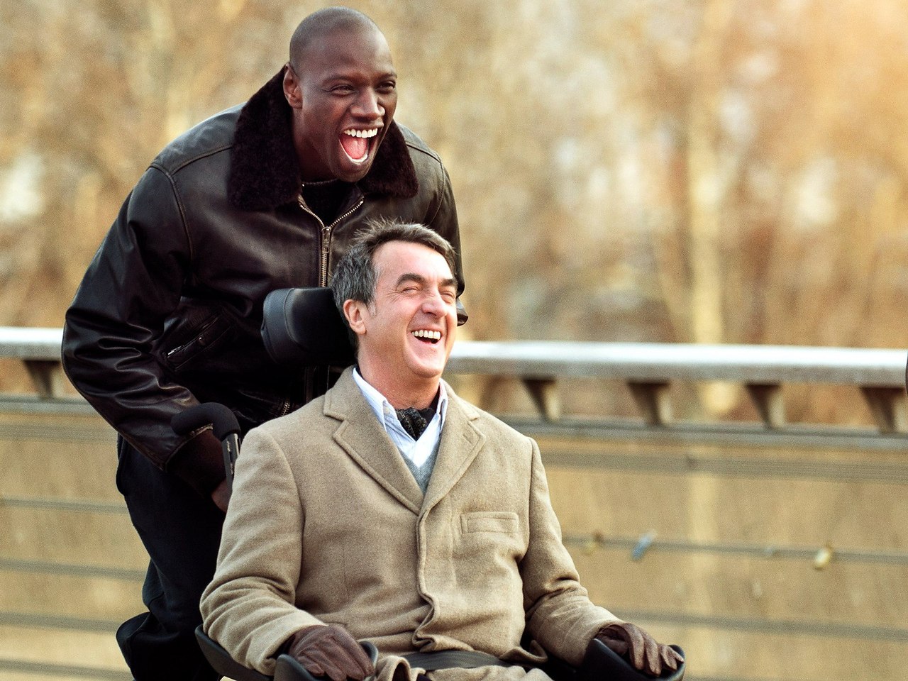 10  ,    . 1.  / Selma    ...