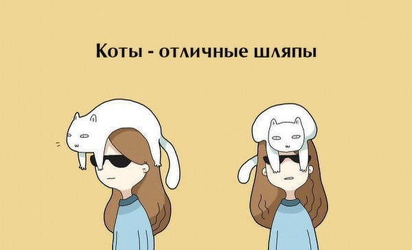 Десять плюсов жизни с котом - 4