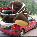 ���� Andrei, �������, 38 ��� - ��������� 1 ������� 2016