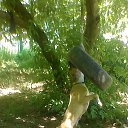 ���� ������, ������, 59 ��� - ��������� 12 ���� 2016 � ������ ���� ����������