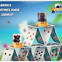 ���� �������� ������������, ���������, 51 ��� - ��������� 6 ��� 2016 � ������ �������� �������-�������