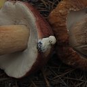 ���� �����, �������, 62 ���� - ��������� 4 ������� 2016 � ������ ������ ��������