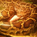 ���� ������, �����������, 54 ���� - ��������� 10 ���� 2016 � ������ ���� ����������