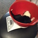 ���������� ����))) �� ������� ������