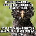 ���� ����, ����� - ��������� 8 ������� 2016 � ������ ����������