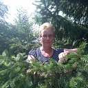 ���� ����, ����, 66 ��� - ��������� 6 ������� 2016 � ������ ���� ����������