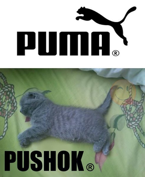    :D - 19  2016  18:33