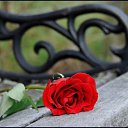���� ������, ������ - ��������� 30 ������� 2016 � ������ ������ ��������