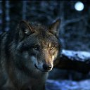 ���� ������, ������, 47 ��� - ��������� 4 ���� 2016 � ������ ���� ����������