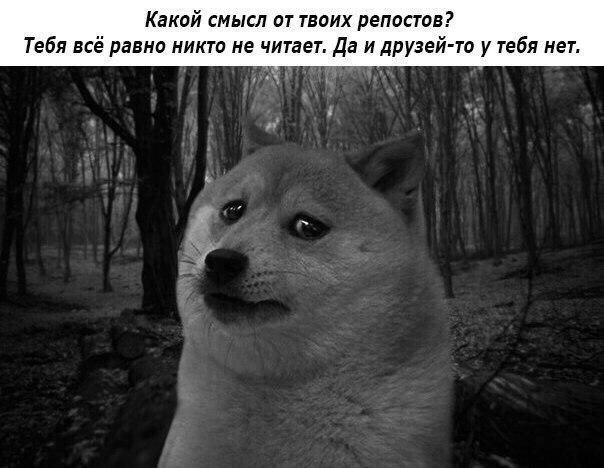   :D - 30  2016  05:37