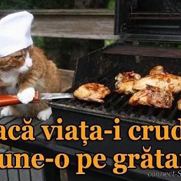 ���� Andrei, �������, 38 ��� - ��������� 1 ������� 2016