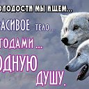 ���� �������, ����������, 57 ��� - ��������� 27 ���� 2016 � ������ ������ ��������