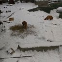 ���� ����, ������������, 35 ��� - ��������� 12 ���� 2016 � ������ �Moscow 2016 January�