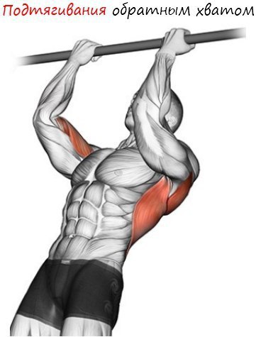 4. Постепенное увеличение нагрузки