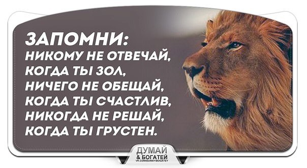   - 31  2016  12:48