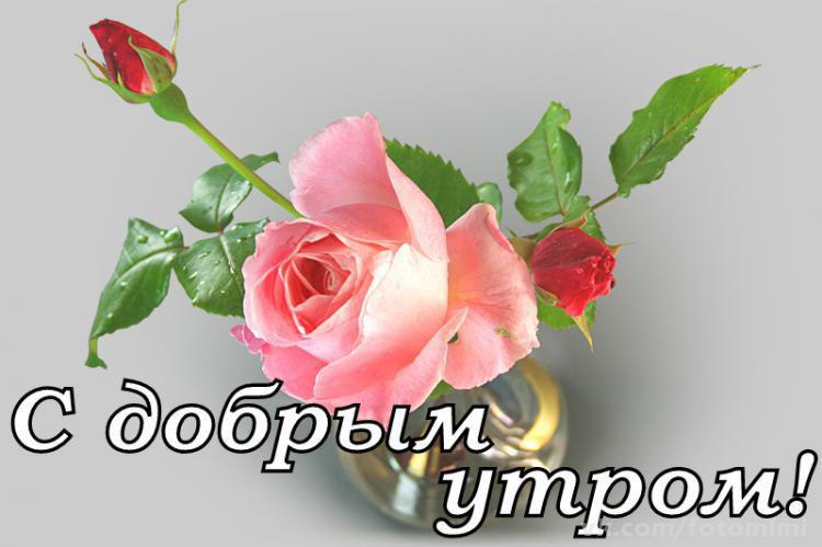   ! ,  -    ,  -  ,  - ...