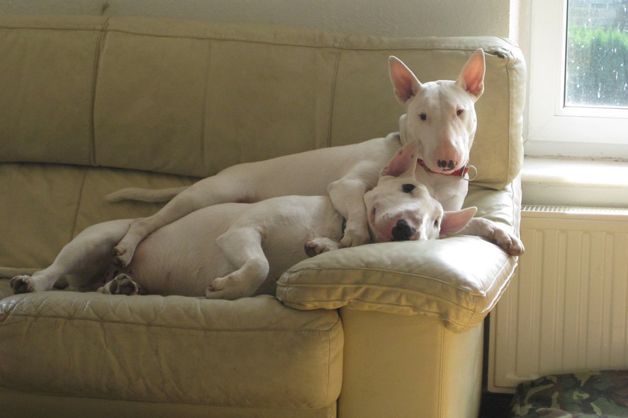 Воскресенье - набираемся сил перед рабочей неделей! Фотограф Андрей Кашпура) - 3