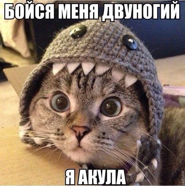 ��� �������� �������� - 25 ����� 2016 � 08:17