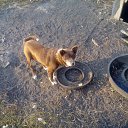 ���� �����, ������, 37 ��� - ��������� 6 ������� 2016 � ������ ������ ��������