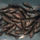 ���������,�� ��� �� ��������! �� ������� ���� ����������