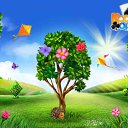 ���� Venera, ������ - ��������� 24 ����� 2016 � ������ �������� �������-�������