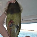 ���� �������, ������ ��������, 45 ��� - ��������� 23 ����� 2016