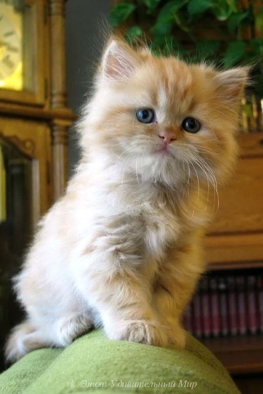 Живая природа - 24 марта 2016 в 22:31