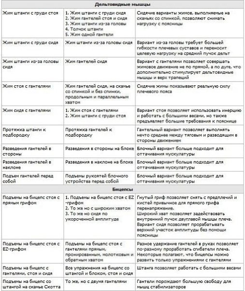 Полный список базовых упражнений с подробным описанием.Сохрани себе - 2
