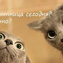 ���� �����, �����������, 56 ��� - ��������� 14 ���� 2016 � ������ �������� ��������