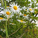 ���� ������, �������� - ��������� 29 ���� 2016 � ������ ���� ����������