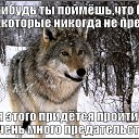 ���� ����, ����� - ��������� 1 ������ 2016 � ������ ������ ��������