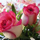 ���� *Ni��*, ������ - ��������� 6 ��� 2016 � ������ ���� ����������