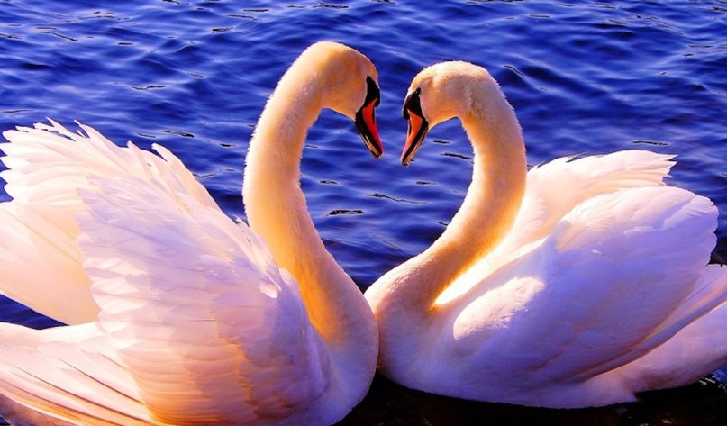 :)  ,    ,         ... - 3