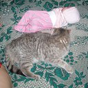 ��� �����������... �� ������� ���� ����������