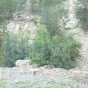 ���� �������, ��������, 55 ��� - ��������� 2 ������� 2016 � ������ ������������ �� ����������.�