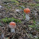 ���� �����, ������������, 59 ��� - ��������� 16 ���� 2016 � ������ ������ �����.�