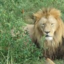 ���� Leonid, ��������, 58 ��� - ��������� 28 ����� 2016 � ������ ���� ����������