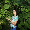 ���� ����, �����, 42 ���� - ��������� 5 �������� 2016 � ������ ���� ����������