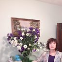 ���� Vanda, ������� - ��������� 23 ������� 2016 � ������ ���� ����������