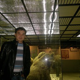 �����, ������, 43 ����