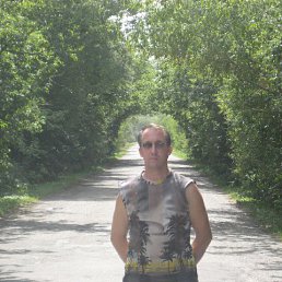 ������, �����, 58 ���