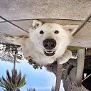 ���� ������, ����������, 49 ��� - ��������� 12 ���� 2016 � ������ ���� ����������