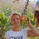 ���� ����, ������������, 55 ��� - ��������� 27 ����� 2016 � ������ ��������