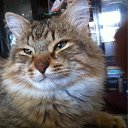 ���� ����������, ������, 60 ��� - ��������� 1 ������� 2016